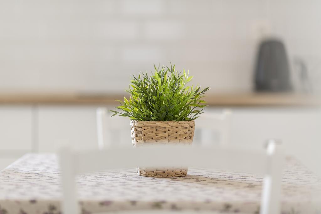 Apartmani Mariela Maslinica Ngoại thất bức ảnh